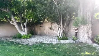 Spiraling Spirit, Elf Spirit BG Sextape - Intimate Moments