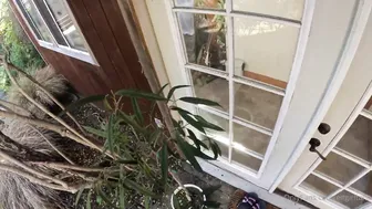 Horny Girlfriend Tied To The Bed And Getting Fucked Starring ElfGirlTalia - Uncensored Video