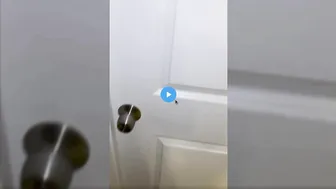 Autumren's XXXavierWilson | Trending Scene Edition