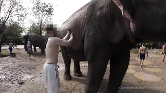 Thailand Phuket VLOG POV Sextape Starring Hermione Potter - Intimate Moments