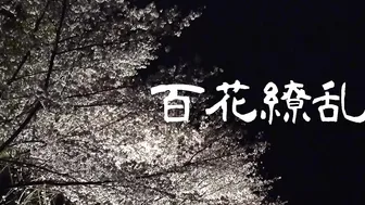 Tokyo Night School Girl Need A New Home