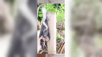 Amanda Cerny, Model in Outdoor Shower Naked Tease