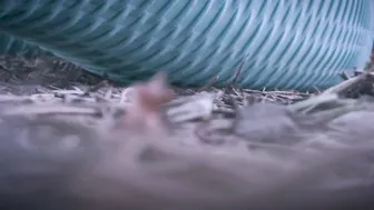 Saraloverays, Outdoor Jogger Giantess