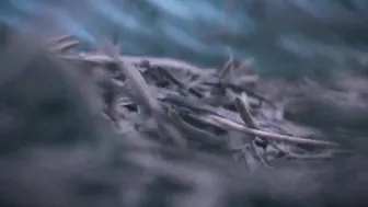 Saraloverays, Outdoor Jogger Giantess