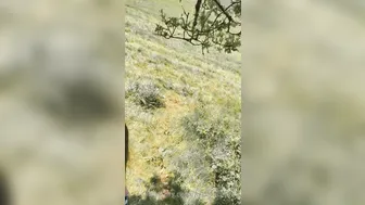 Aspen London, Sucking A Big Cock In The Open Fields