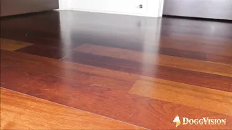 Beverly Blue, Sir Neptune, Huge Fat Ebony Bitch Riding BBC Like a Savage