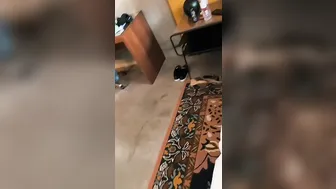 Txkitty69, Westcoastbbc, Hotwife Impregnated by BBC