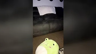 Royal Papaya, Fucking Very Big Dildo Livestream