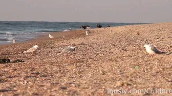 Cinderella Story, Braless Sundress Public Beach Flashing