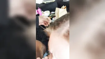 Cherry Lace, Troy Francisco, Horny Beauty Filled by BBC