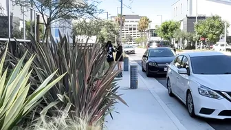 Rara Knups, Ryan Reid, Two Beauties Travel in Packs