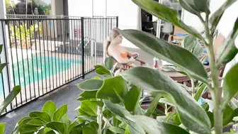 Utahjaz's Peeping Tom Got Caught Film Her Shower | Viral Footage Edition