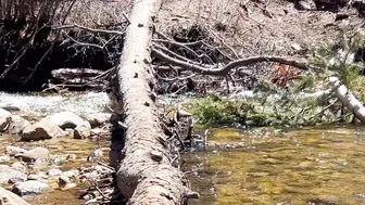 Fucking Under The Sun After Hiking Starring SunnySkye - Exclusive Tape