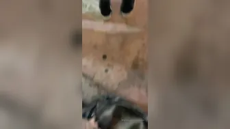 Lil D, Fairy Elle, Katrina Kastro, Picking Up Two Soutch Beach Thots