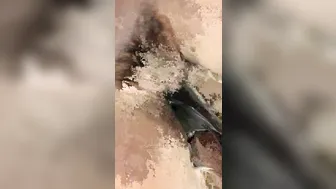 Riley Reid, Vagina Teasing in Airplane Toilet