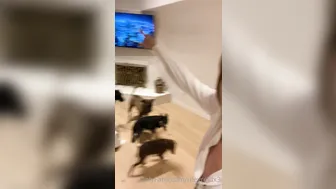 Riley Reid, Striptease from Office Wear