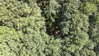 Agatha Vega, Hot Supermodel Forest Masturbation for Nature