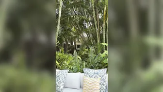 Mia Khalifa, Hot Arab Beauty Sexy Lingerie Try-On Haul in Backyard