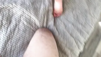 Josie Jaxxon, BBW Babe Gets Her Asshole Fucked Hard Because It’s Not Cheating