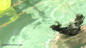 Sadie Holmes, Underwater Blowjob in the Backyard Pool