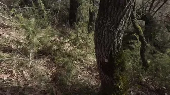 French Horny MILF POV: Stranger Fucks Me in the Forest
