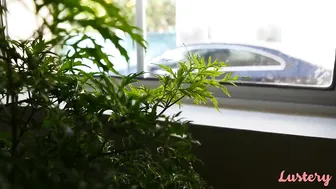 Isla Summer Turns Savage: Taboo Top Of The Morning — HD Exclusive