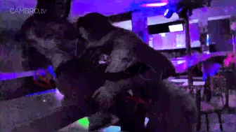 Abigaiil Morris Ignites: XXL Swinger Bar Random Girl Kissing — Puro Placer