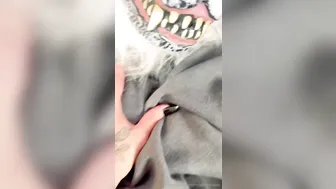 Mommablondebombshell, Thick Red Riding Milf Riding The Big Cock Wolf