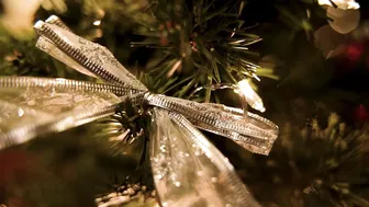 Xenia Crushova, White Laced Bodysuit Christmas Seduction