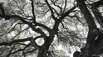 Amouranth, Jessica Nigri, Two Devil Girls Photoshoot Seduction