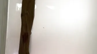 Toni Camille, Wet Vacation Hotel Bathroom Scene